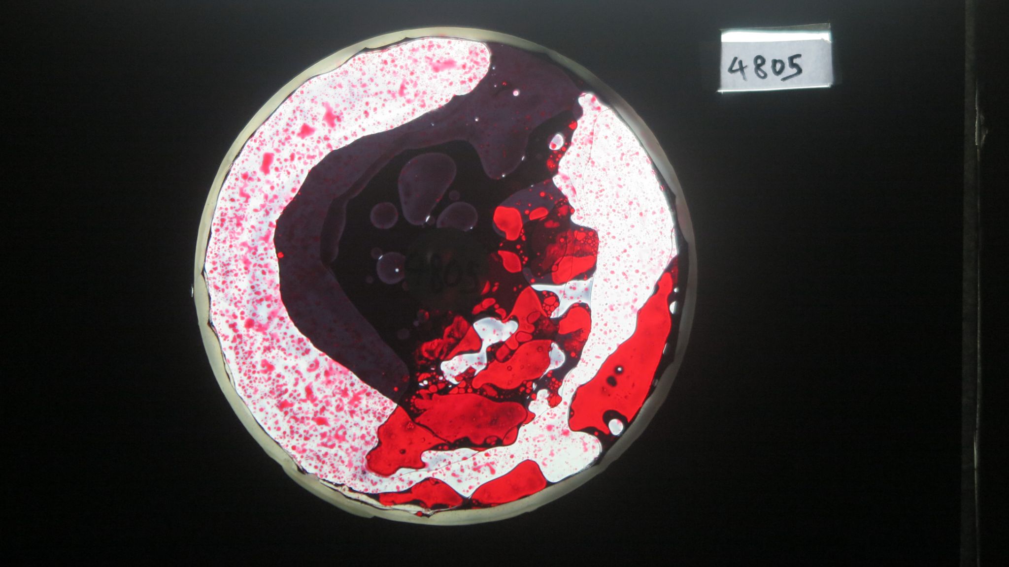 BV4805 bubble vision oil wheel